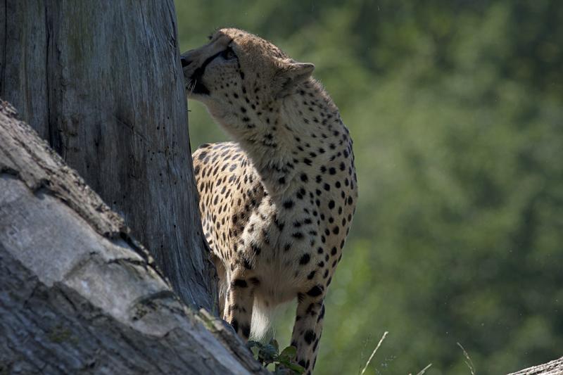 Cjp_2011_08_01_092907 (2).jpg